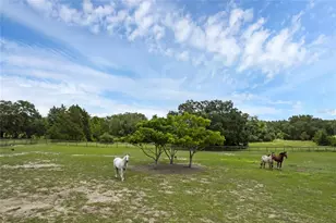 23210 Brouwertown Rd, Howey in the Hills, FL 34737 - Photo 31