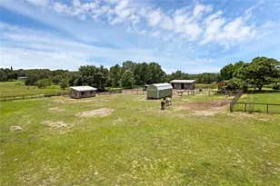 23210 Brouwertown Rd, Howey in the Hills, FL 34737 - Photo 21