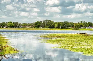 10480 SE 101st Avenue Rd, Belleview, FL 34420 - Photo 73