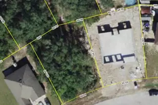 203 Kingfish Way, Kissimmee, FL 34759 - Photo 1