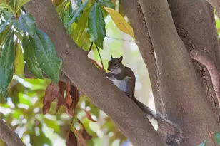 6451 Old Park Ln, Orlando, FL 32835 - Photo 17