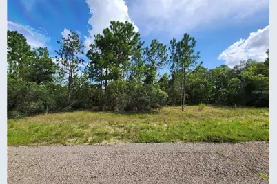 3504 W Seahorse Lane, Dunnellon, FL 34433 - Photo 1