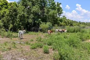 [Address not provided], Oviedo, FL 32765 - Photo 69