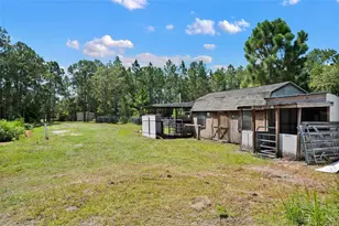 7190 6 Gun Ct, Saint Cloud, FL 34771 - Photo 9