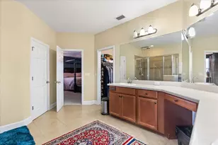 11807 Cross Vine Dr, Riverview, FL 33579 - Photo 29