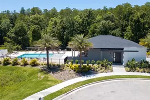 4459 Le Reve Ct, Kissimmee, FL 34746 - Photo 33