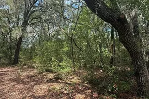 Lot 132 Duncan Ave, Interlachen, FL 32148 - Photo 1