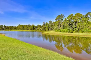 236 Caryota Ct, New Smyrna Beach, FL 32168 - Photo 23