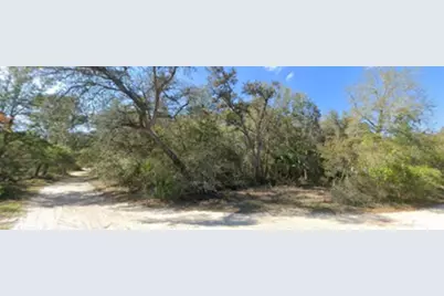 0 Lake Drive, Eustis, FL 32736 - Photo 5