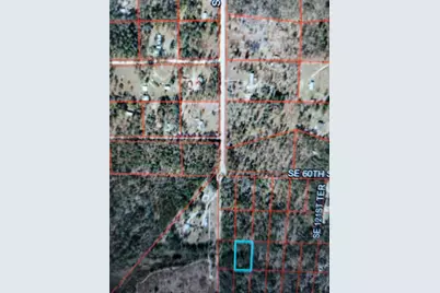 0 SE 120 Avenue, Morriston, FL 32668 - Photo 3