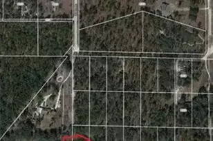 0 SE 120 Ave, Morriston, FL 32668 - Photo 1