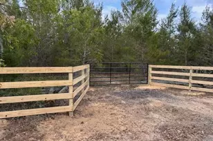 9940 Black Bear Ln, Winter Garden, FL 34787 - Photo 1