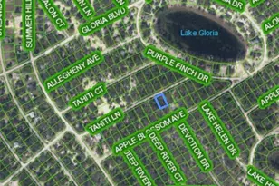 421 Tahiti Ln, Lake Placid, FL 33852 - Photo 1