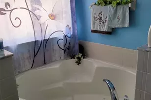 169 Big Black Dr, Kissimmee, FL 34759 - Photo 19