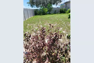 169 Big Black Drive, Kissimmee, FL 34759 - Photo 23