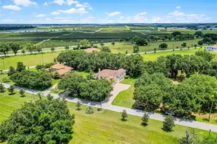 16623 Royal Palm Dr, Groveland, FL 34736 - Photo 53