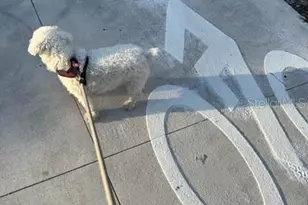 860 N Orange Ave, Orlando, FL 32801 - Photo 13