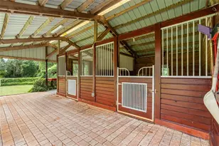 800 Scott Rd, Geneva, FL 32732 - Photo 71