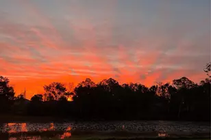 5526 Tiny Rd, Winter Garden, FL 34787 - Photo 31