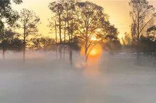 5526 Tiny Rd, Winter Garden, FL 34787 - Photo 33