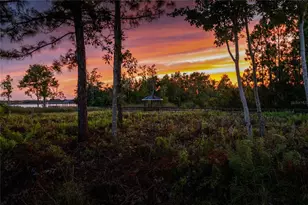 2016 Castelli Blvd, Mount Dora, FL 32757 - Photo 41