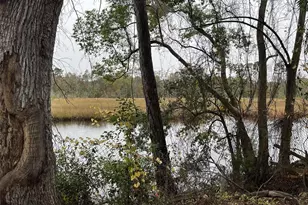 4509 Ken Knight Dr N, Jacksonville, FL 32209 - Photo 3