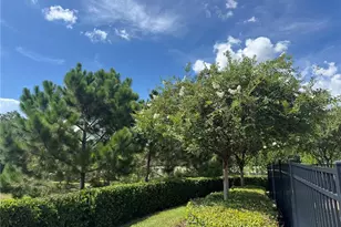 1236 Countrymen Ct, Apopka, FL 32703 - Photo 23