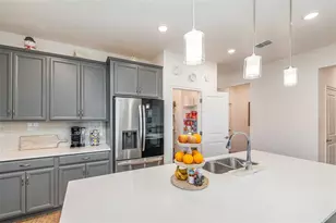 2392 Sirena Ln, Mount Dora, FL 32757 - Photo 5