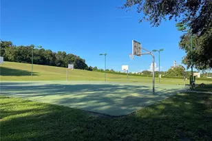 4847 Havilland Dr, Mount Dora, FL 32757 - Photo 59