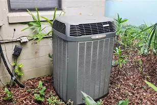 21 N Forest Ave, Orlando, FL 32803 - Photo 19