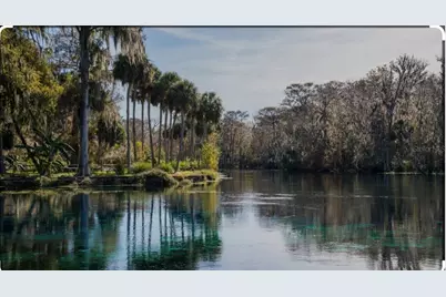 2953 NE 104th Avenue, Silver Springs, FL 34488 - Photo 43