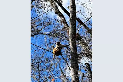 2953 NE 104th Avenue, Silver Springs, FL 34488 - Photo 55