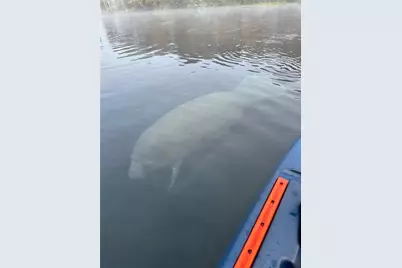 2953 NE 104th Avenue, Silver Springs, FL 34488 - Photo 47