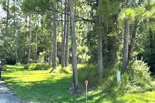 15 Kasbah Pl, Palm Coast, FL 32164 - Photo 1