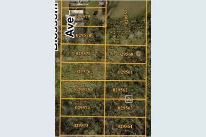 Blossom Avenue, Tampa, FL 33614 - Photo 3