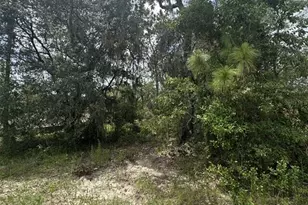 9700 N Cortlandt Dr, Citrus Springs, FL 34434 - Photo 1