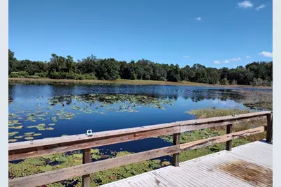 11360 SE 188th Avenue, Ocklawaha, FL 32179 - Photo 53