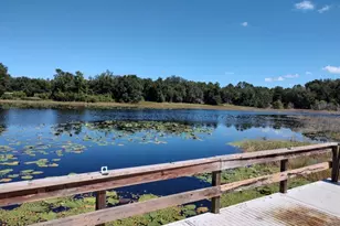 11360 SE 188th Ave, Ocklawaha, FL 32179 - Photo 53