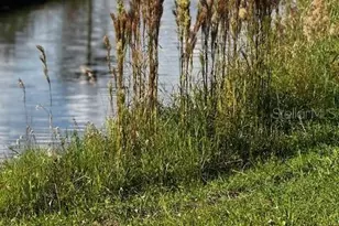 16325 Cape Horn Blvd, Punta Gorda, FL 33955 - Photo 1