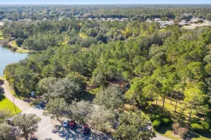 9029 SE 130th Loop, Summerfield, FL 34491 - Photo 67