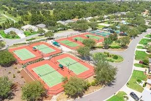 9029 SE 130th Loop, Summerfield, FL 34491 - Photo 47