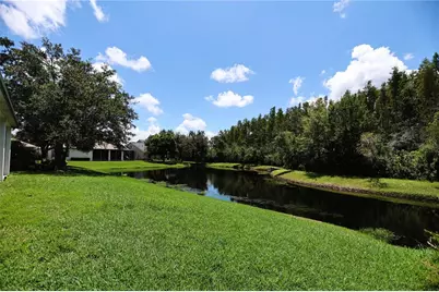 10206 Shadow Branch Drive, Tampa, FL 33647 - Photo 37