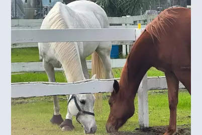 260 Crown Oaks Way #260, Longwood, FL 32779 - Photo 41