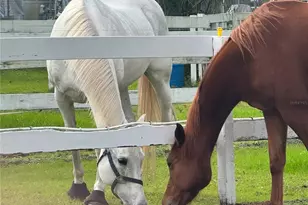 260 Crown Oaks Way, Longwood, FL 32779 - Photo 41