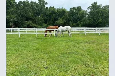 260 Crown Oaks Way #260, Longwood, FL 32779 - Photo 45