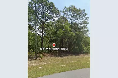 1801 W G Martinelli Blvd, Citrus Springs, FL 34434 - Photo 1