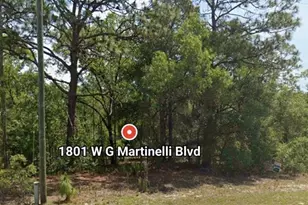1801 W G Martinelli Blvd, Citrus Springs, FL 34434 - Photo 1