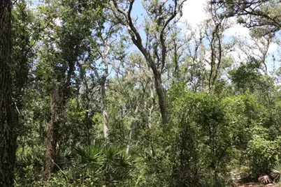 129th Boulevard, Webster, FL 33597 - Photo 5