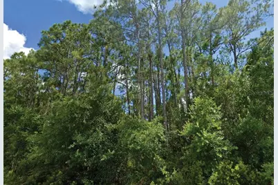 Langsom Lane, North Port, FL 34286 - Photo 1