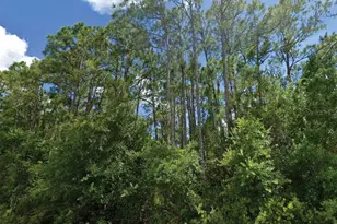 Langsom Ln, North Port, FL 34286 - Photo 1